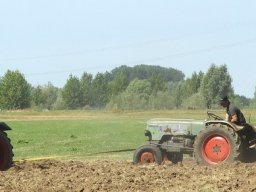 ws 181